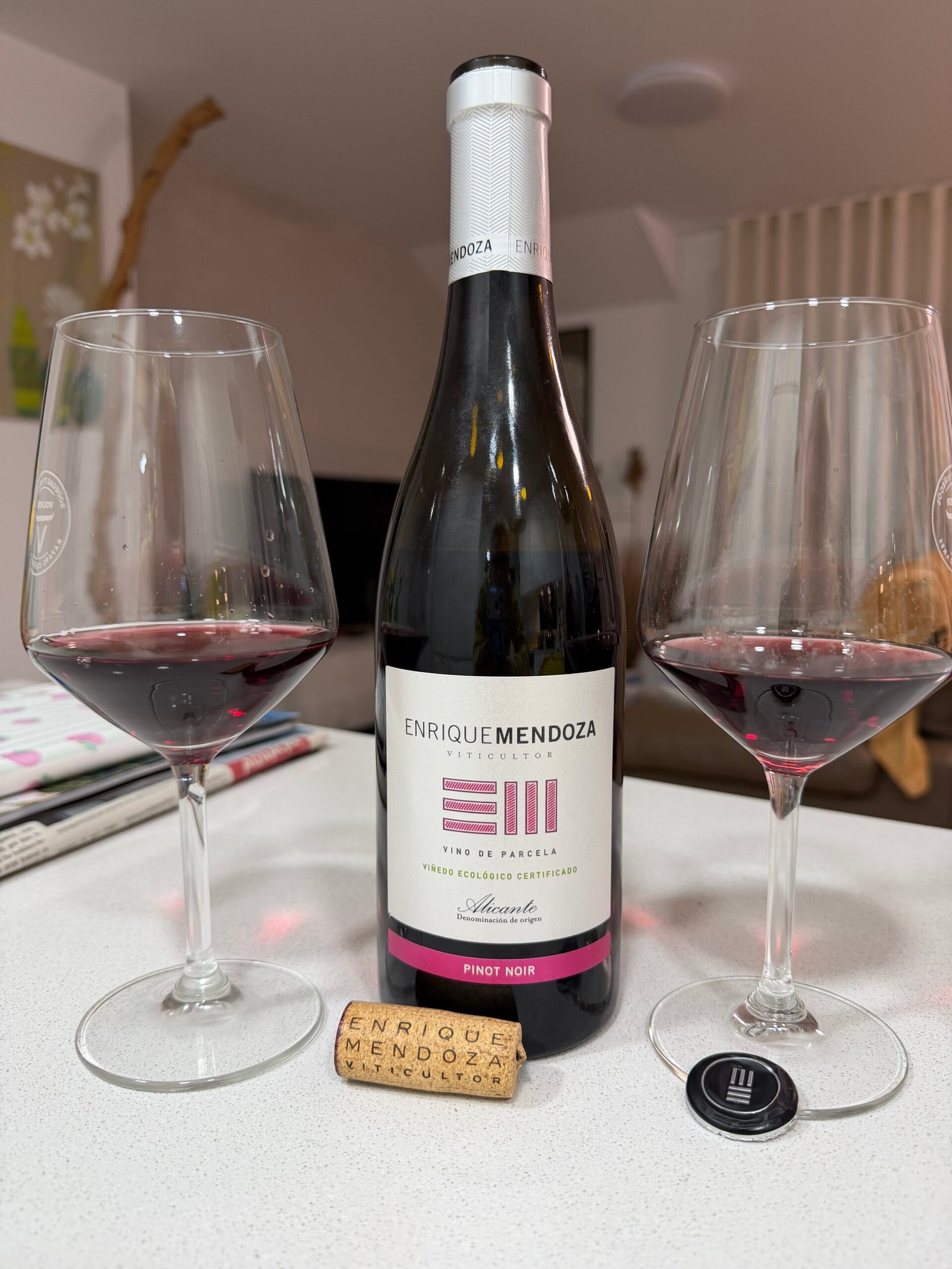 Enrique Mendoza Pinot Noir 2024 - Un vin jeune et prometteur