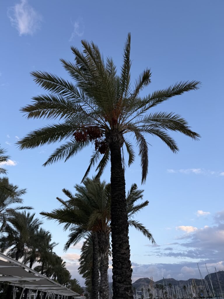 vue d'Espagne